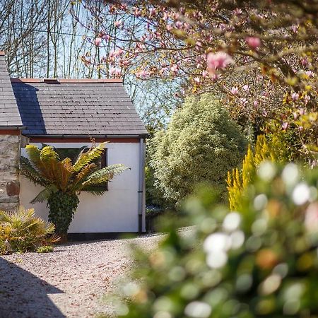 The Snug At Cornish Barn Holidays Truro Zewnętrze zdjęcie