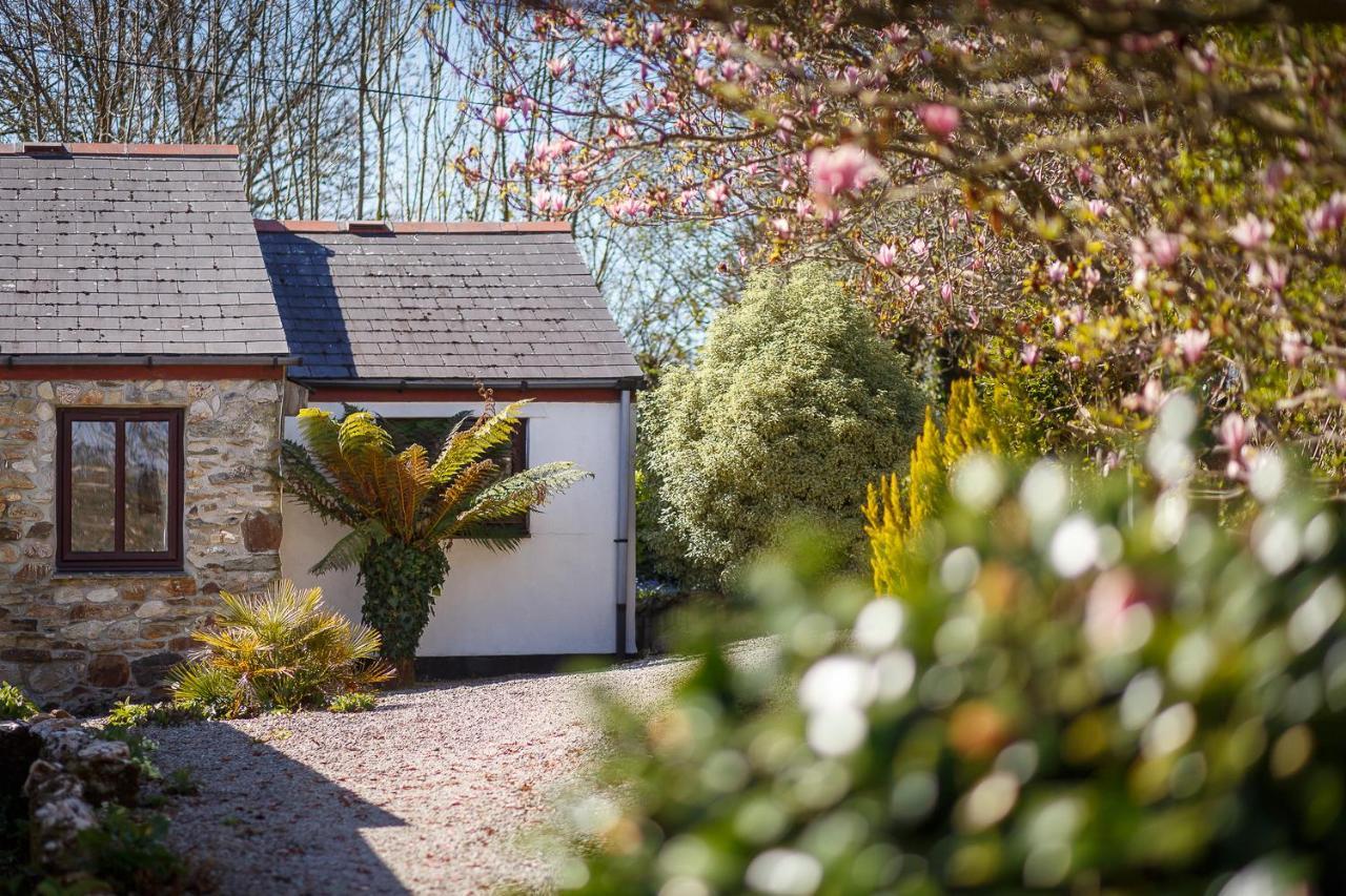 The Snug At Cornish Barn Holidays Truro Zewnętrze zdjęcie